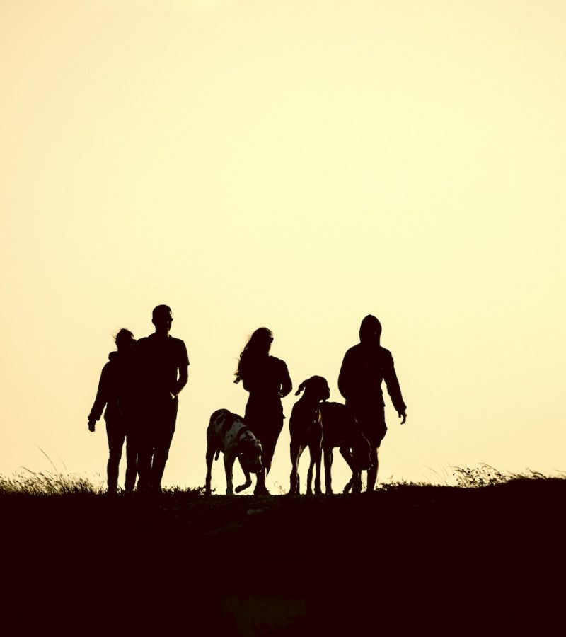 debby-hudson-1cEMf-Ua9iU-unsplash debby-hudson-1cEMf-Ua9iU-unsplash